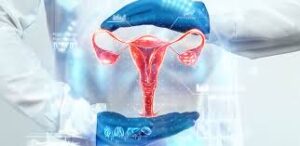 Female reprodutive organ is protected