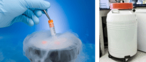 Container used in Cryopreservation