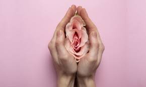 Female hands holding a flower in delicate way